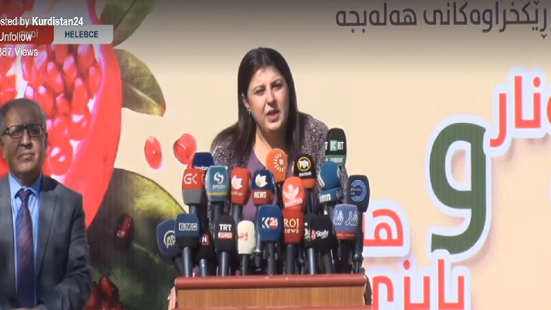 بِگَرد طالبانی: انار هَلَبجه به کشور فرانسه صادر خواهد شد